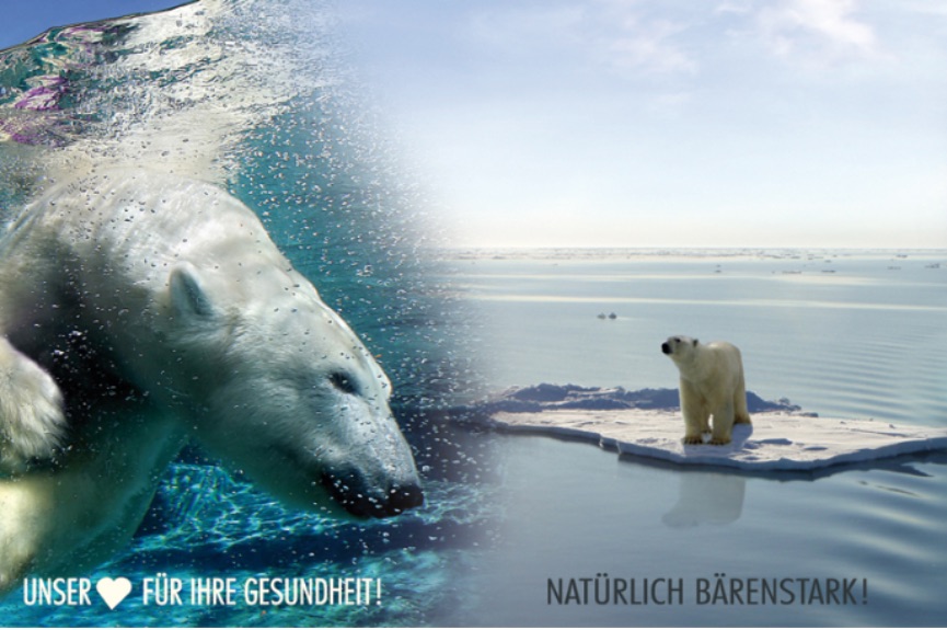 Eisbär Apotheke