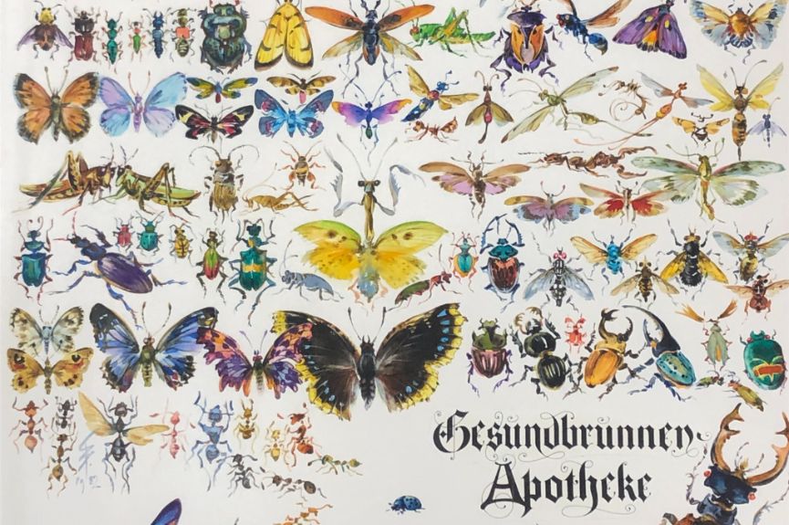 Gesundbrunnen Apotheke