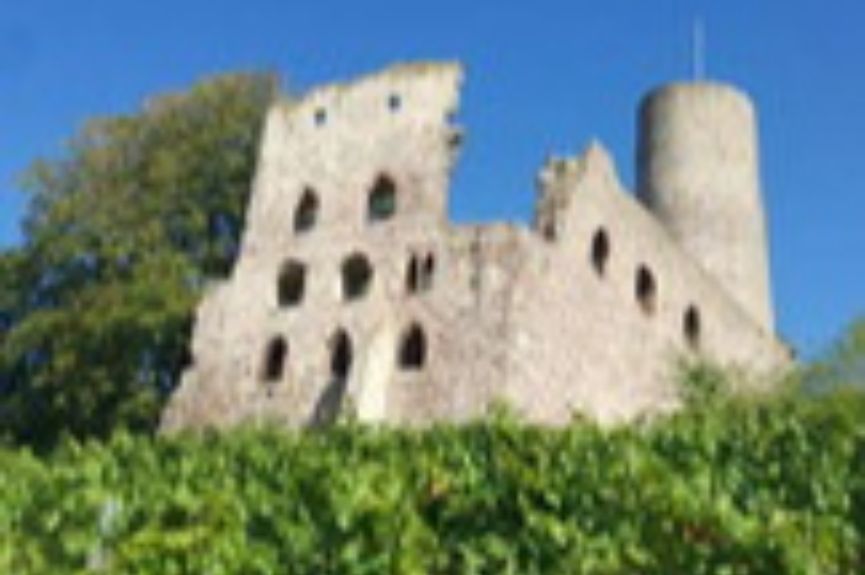 Hof-Apotheke Schriesheim