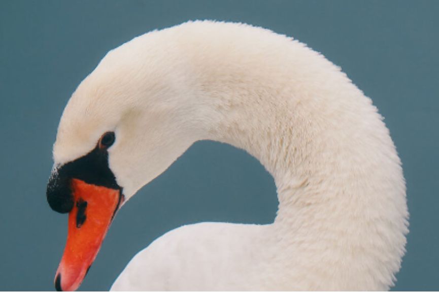 Apotheke zum Schwan
